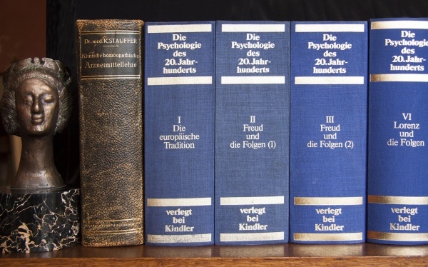 东北黑蜂雪蜜怎么鉴别真假