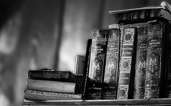 为什么人人都喜欢生牛宝宝 牛宝宝那里对照好