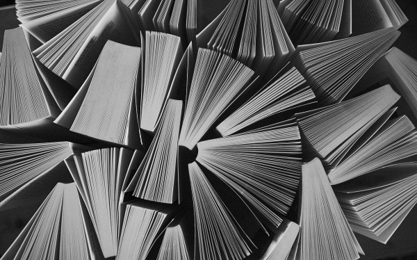 狸猫换太子发生在哪个朝代？