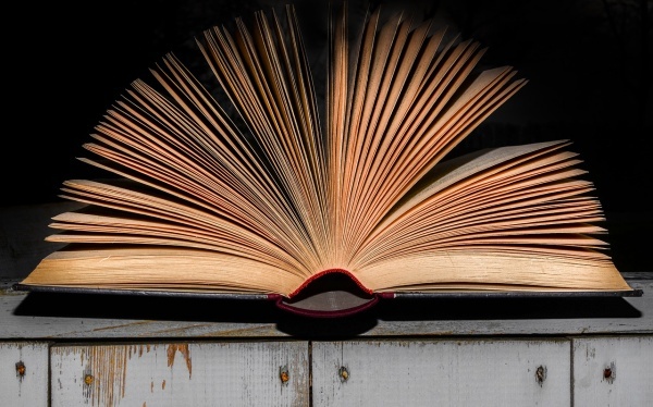 桃树冬季怎么修剪