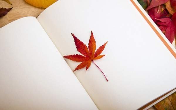 女人易得肛裂是为什么