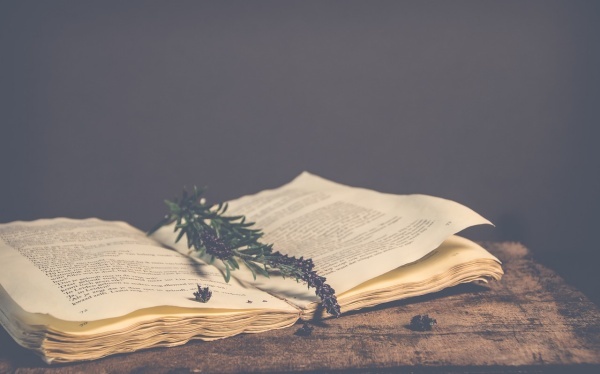 堕胎的胎灵有什么伤害,堕胎后胎灵祭祀完之后对