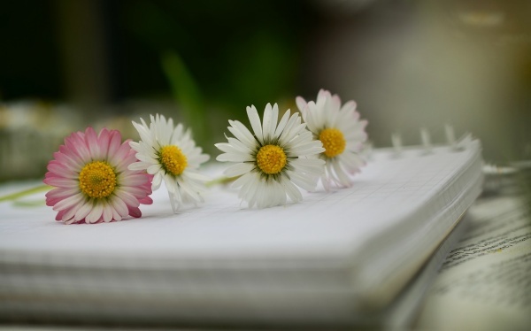 自己可以给自己种生基吗？