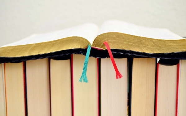 中班绘画教案范文