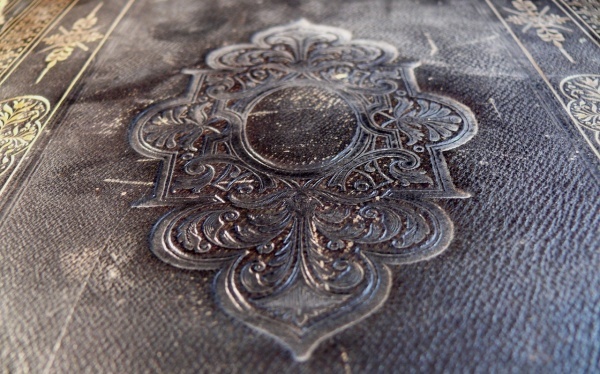 菏泽正规司法亲子判定中心组织一览,附2026年汇总判定