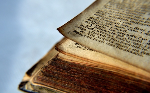 回想的画面范文