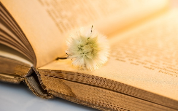 女人去泰国试管婴儿费用哪里廉价？