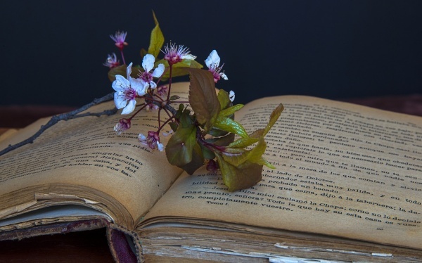 应对尿频N个对策 孕妈咪必读