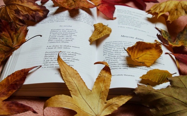 食道癌高发人群的特征