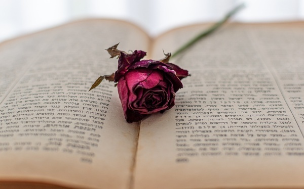 女人不孕跟男性有联系吗?