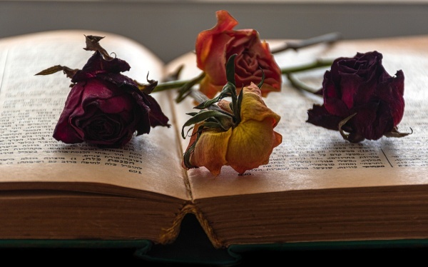 分手后，会有这四种显示的女人，证实她还爱着你