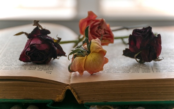 教研室活动总结范文