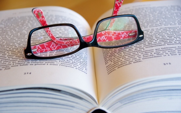 骨干教师工作总结范文