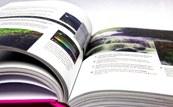 二年级语文下册教案范文