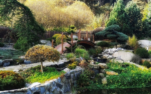 鸭脖能吃吗 能多吃吗