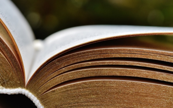 秋冬枯燥男人吃什么好