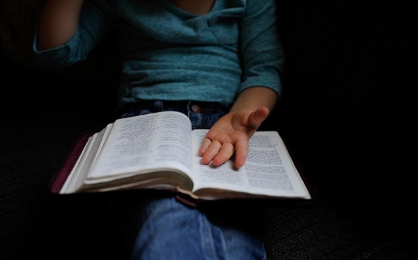 幼儿教育教育范文