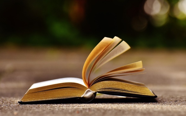 上半年政法工作总结范文