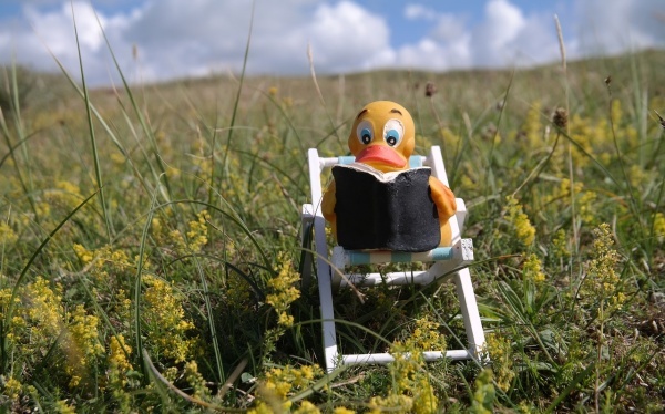 白羊座男生的性格,白羊男被哪种女生吃定