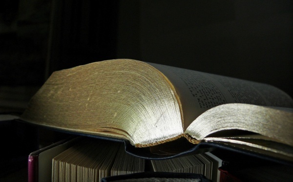 心电图查看注意事项