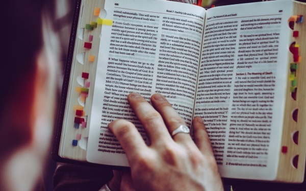 关于成功的作文范文