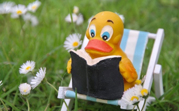 幼儿园教师查核评语范文