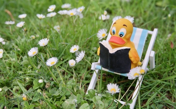 哪些器械不能以带上飞机？