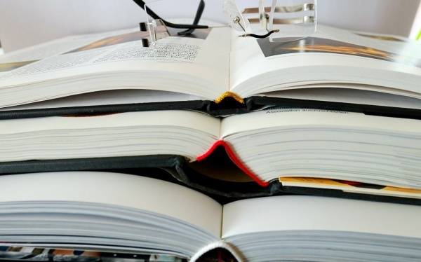 枢纽所需营养削减就会歇工 鸡骨汤可弥补钙质