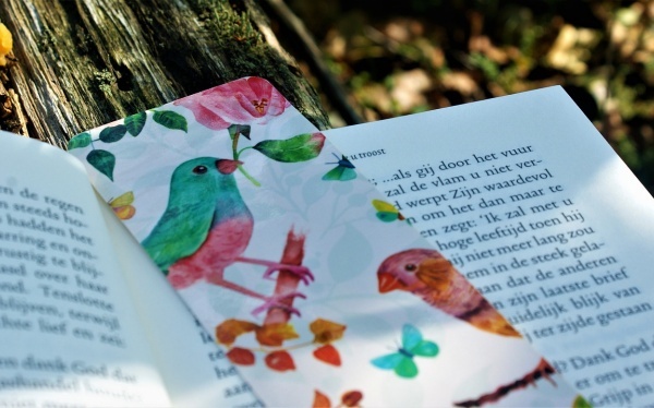 生育期更易产生子宫肌瘤