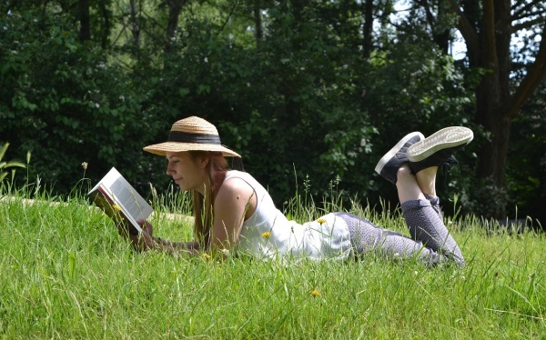 税收征管法论文范文