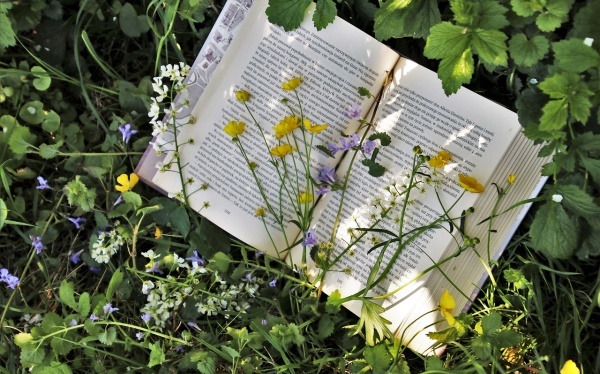 怎么能改运?三大招让你运气好起來