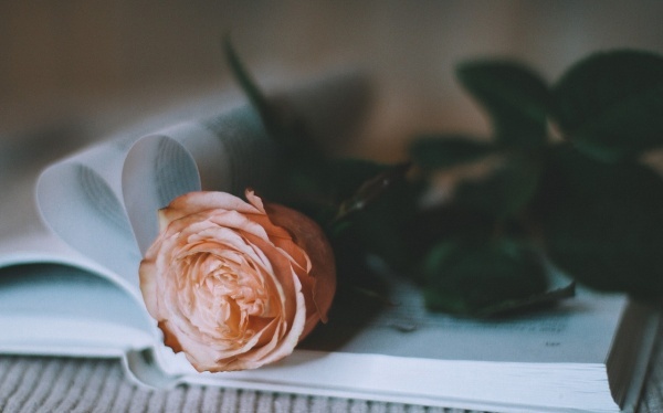 味精什么时刻放最好 放若干对照好