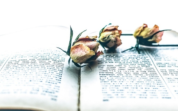 路政办理工作计划范文