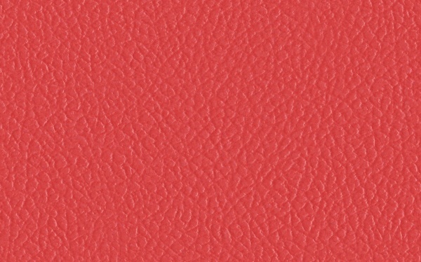 书法教师工作总结范文