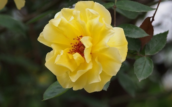 早上会影响运势的三件事，人人一定不要泛起