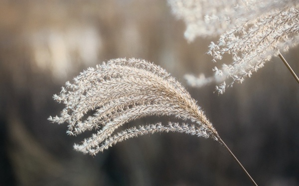 生辰八字测学历考研,免费八字测一下学历
