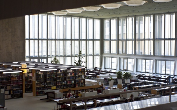 送什么花给中考的学生对照好（为学生送上向日葵寓意一举夺魁）