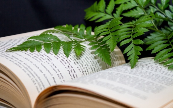 怎样正确应对慢阻肺