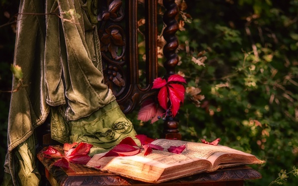 消瘦白叟怎样饮食调度