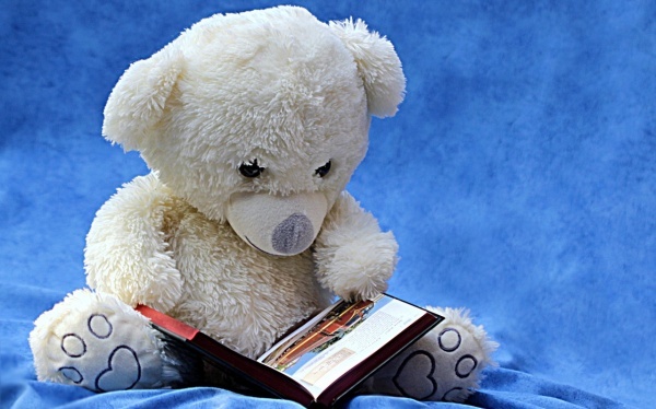 教师法论文范文