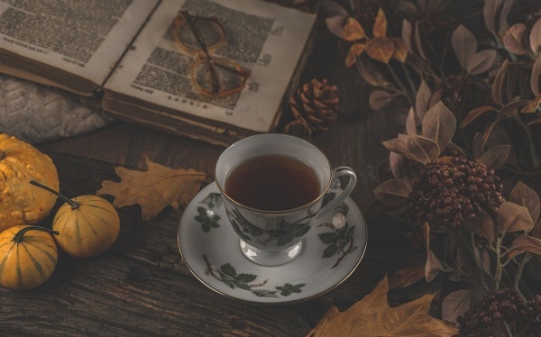 刊出税务挂号申请书范文