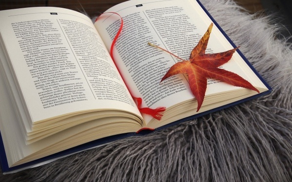 “第三届中美道学养生研讨班”成功举行