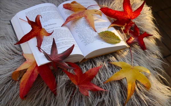 道教常念经文有哪些?道教常念经文介绍