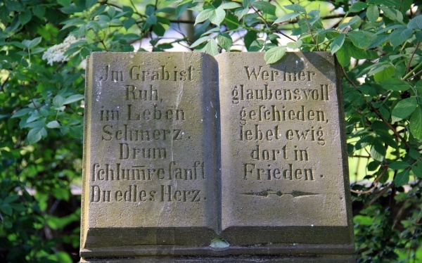 营销月度工作总结范文