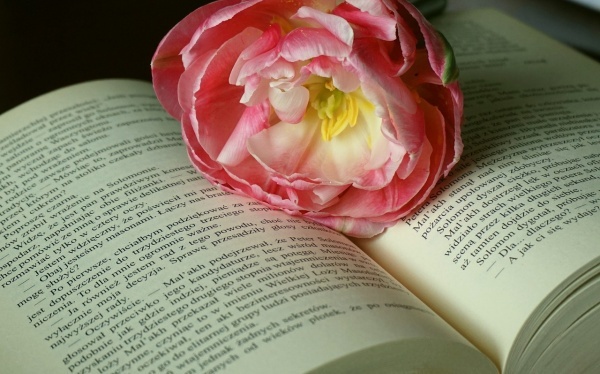 得字的用法详解 得字的用法详解举例