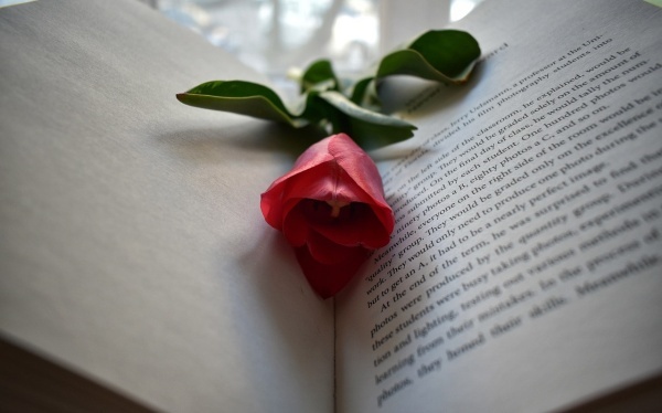 念地藏王祭祀心咒  逢凶化吉脱离苦海