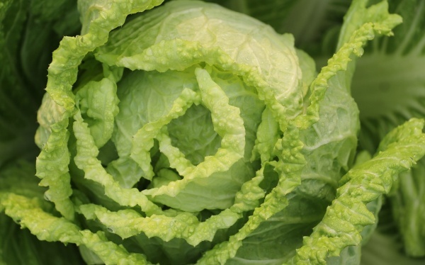 自检肺癌症状的办法有哪些