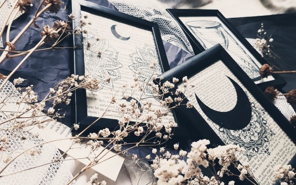 桔子树开花如何保果