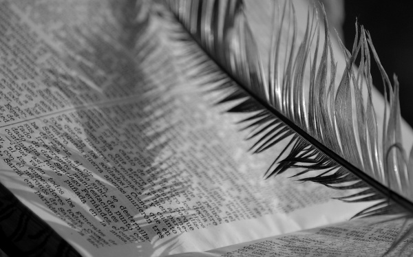 在线塔罗牌,塔罗运势每日查询