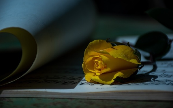 喝牛奶也会致癌是误读